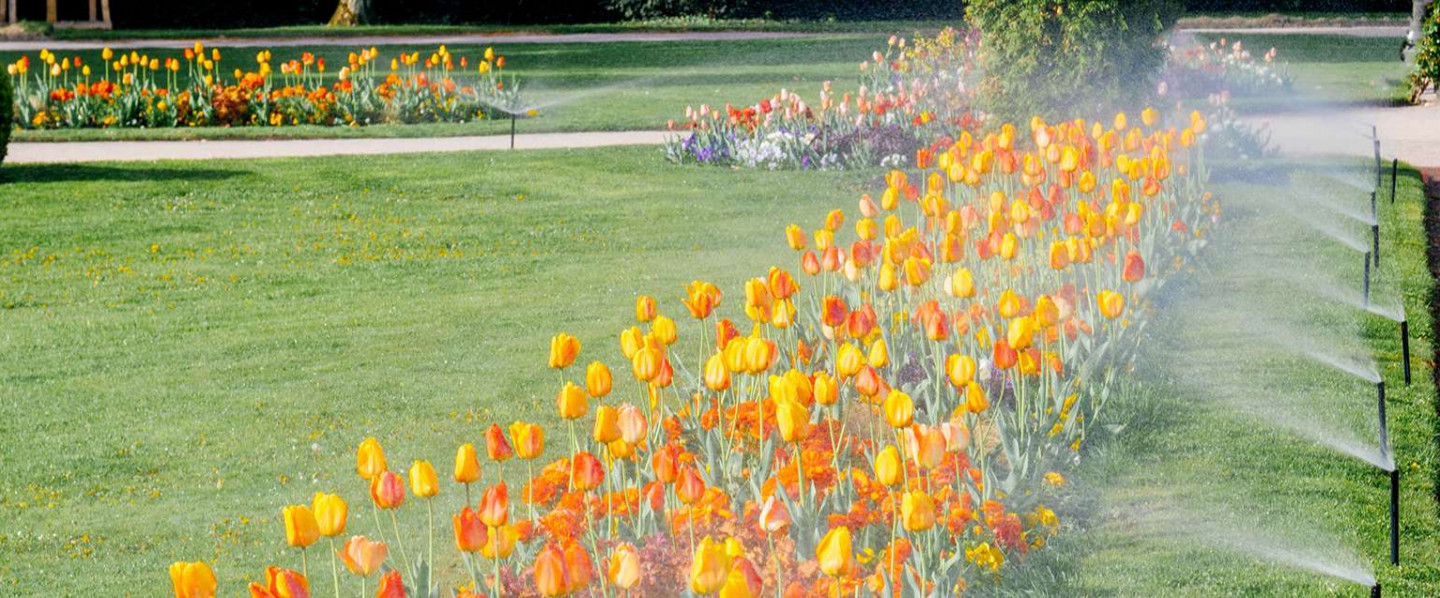Let us get you ready for spring!!!